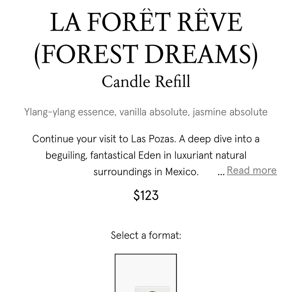 LA FORÊT RÊVE (FOREST DREAMS)
Candle Refill - Picture 2 of 4